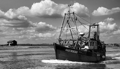 ddos攻击测试工具