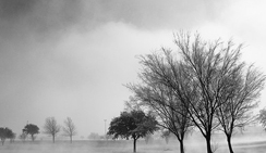 网站ddos隐藏源ip